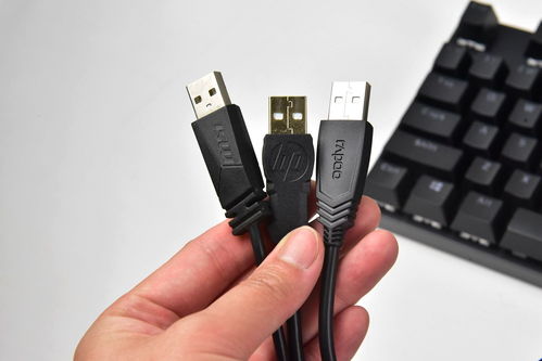 百元级热门机械键盘怎么选 微星gk50z 惠普gk100 雷柏v500pro横评