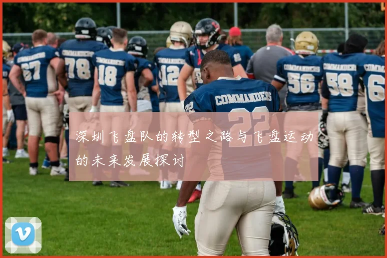深圳飞盘队的转型之路与飞盘运动的未来发展探讨